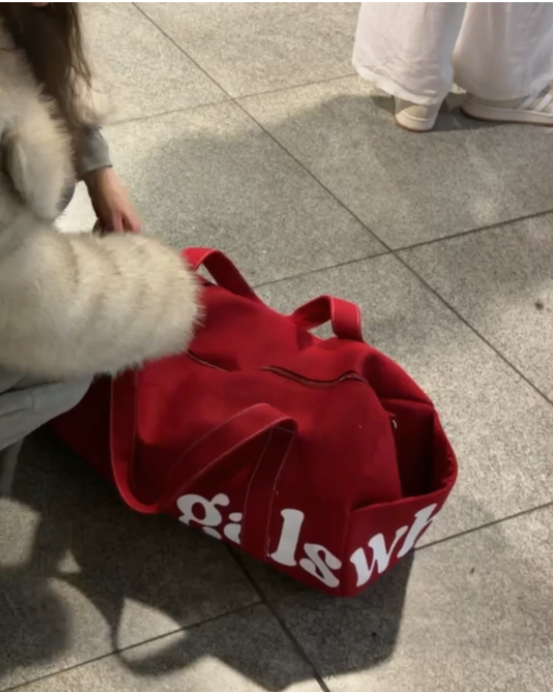 travel bag (red)